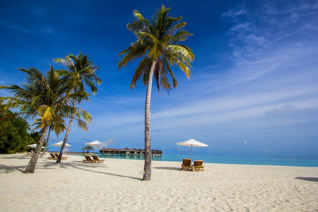 When to Visit the Cayman Islands: Best Time for Your Trip